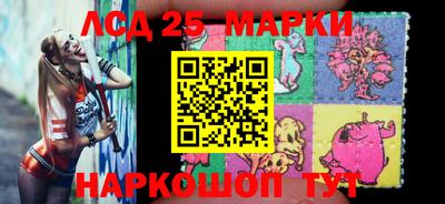 гашик Кандалакша