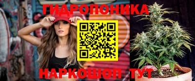 гашик Кандалакша