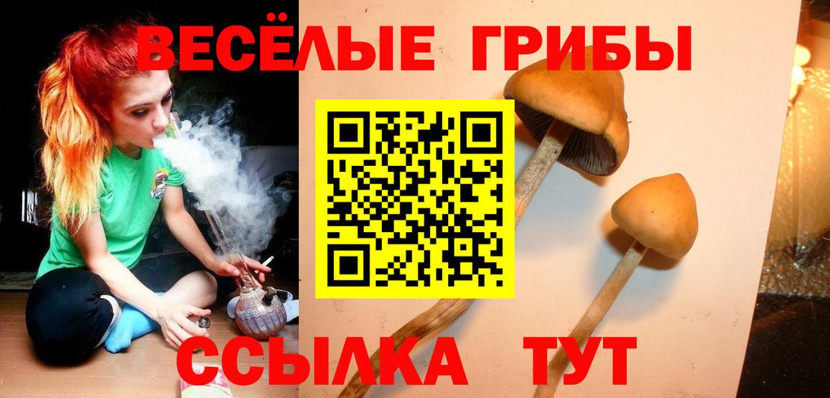 Галлюциногенные грибы Cubensis  Галлюциногенные грибы Cubensis  Невинномысск  Вход с VPN 