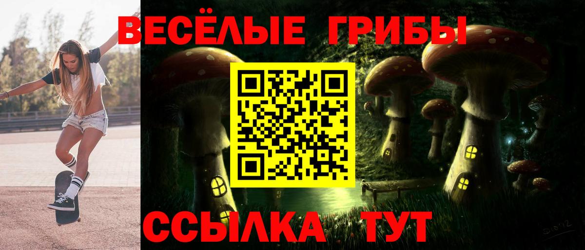 Галлюциногенные грибы Cubensis Невинномысск
