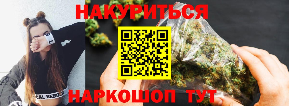 Каннабис сатива Невинномысск